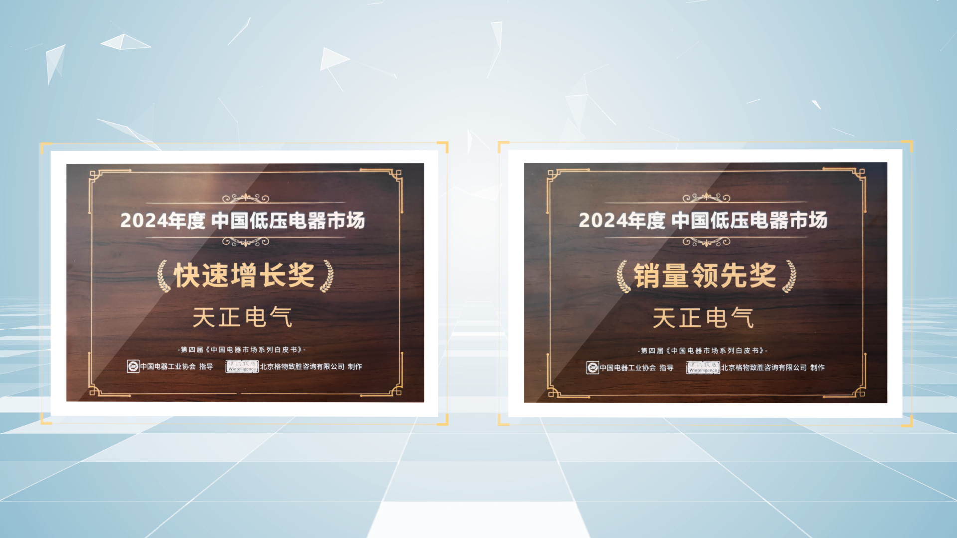 銷量領(lǐng)先、快速增長丨麻花豆國產(chǎn)劇視榮膺2項(xiàng)行業(yè)年度大獎