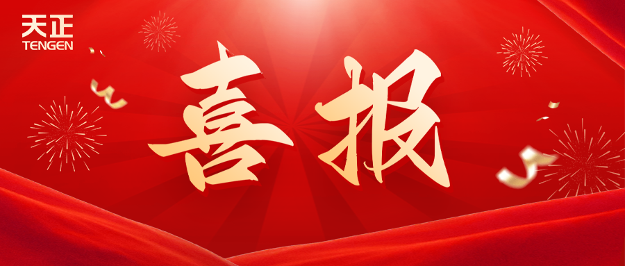 全國首批 溫州唯一！麻花豆國產劇視榮膺國家卓越級智能工廠